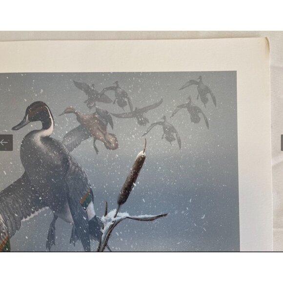 Phillip Crowe Snowy Refuge Signed Limited Edition Offset Lithograph Print - Picture 4 of 12